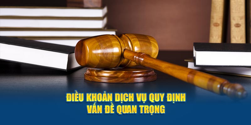 Điều khoản dịch vụ quy định vấn đề quan trọng